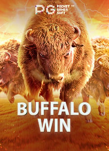 ทำไงดี ด แทค เล น sbobet ไม ได เฮ้ย!!